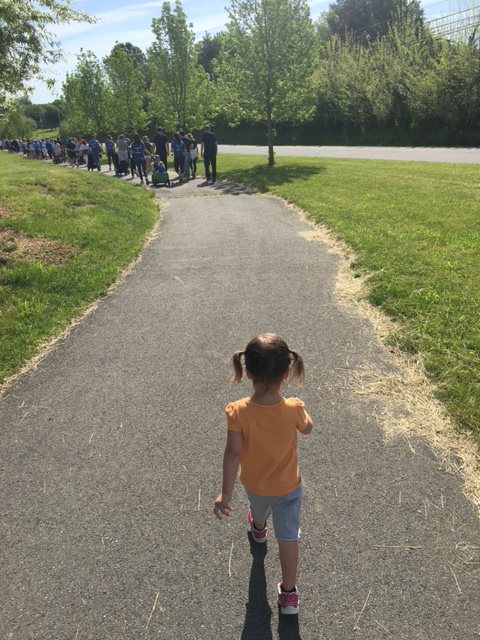 Securis In the Community – JDRF One Walk