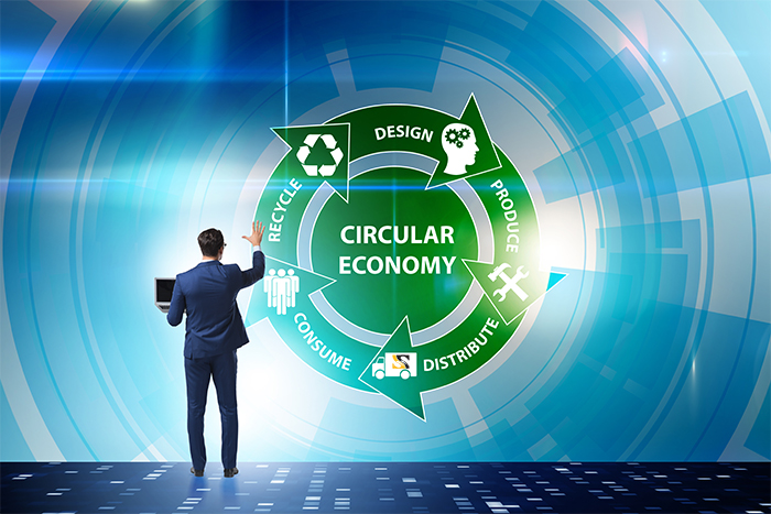 The Circular Economy