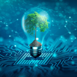 Sustainable IT Recycling for Data Center IT Equipment