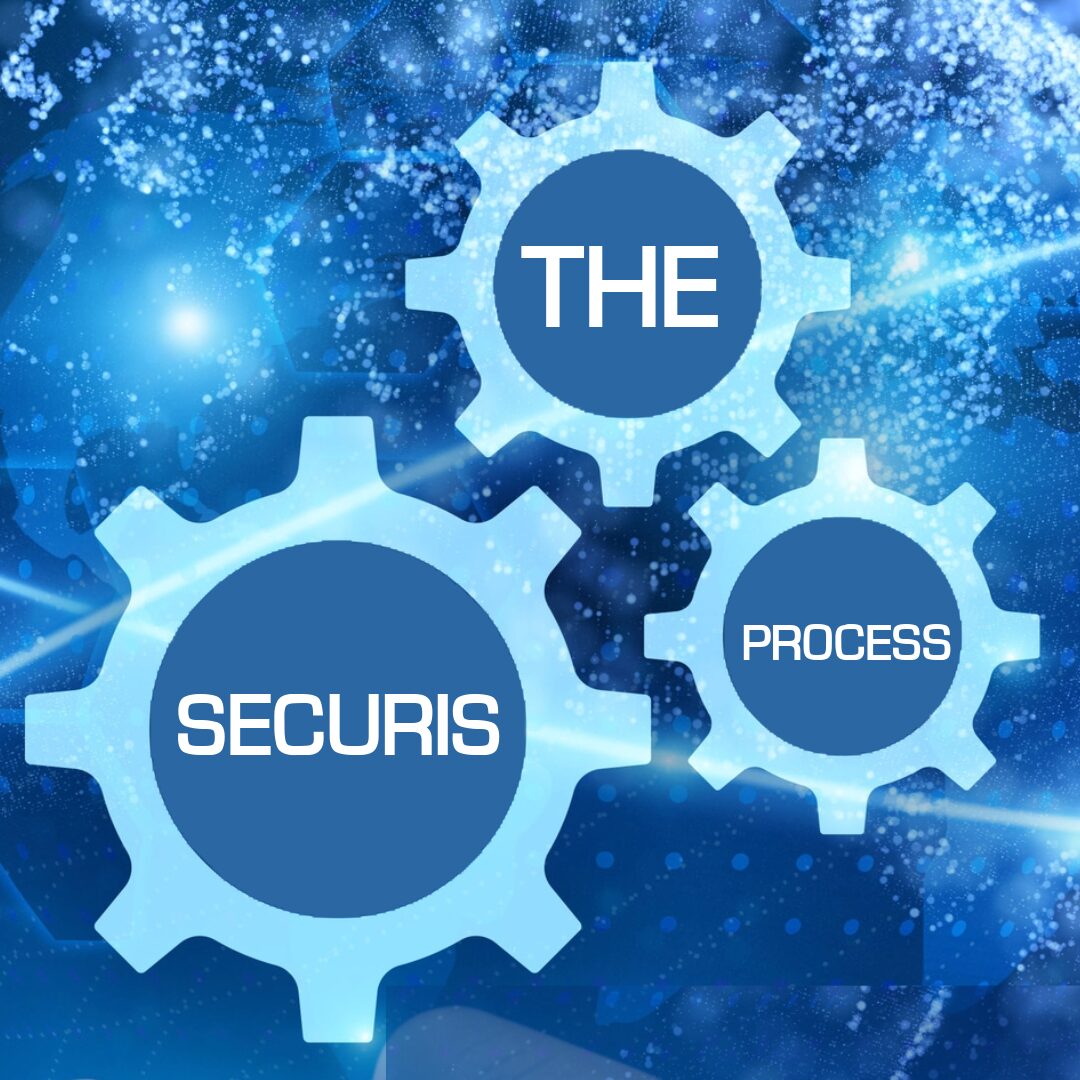 The Securis Process