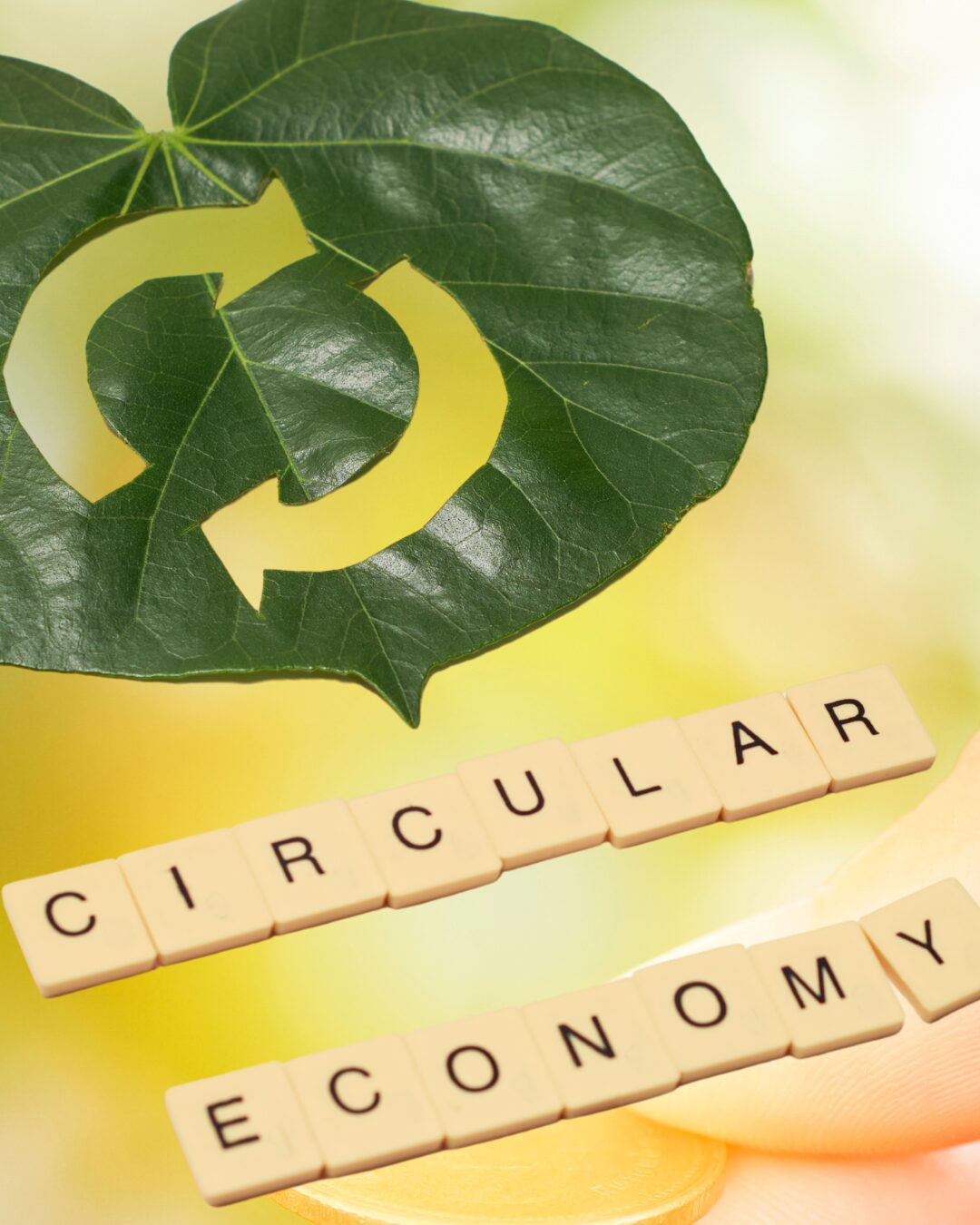 Building a Circular Economy: How OEMs Are Leading the Way  – An Interview with Dan Mattock, Securis